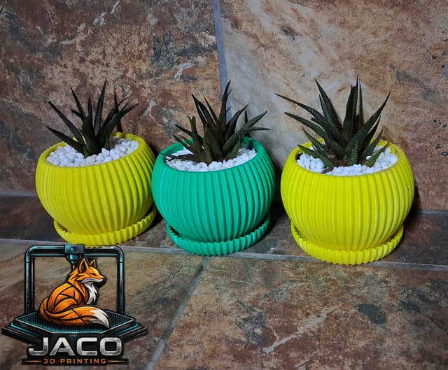 Succulent Planter 1